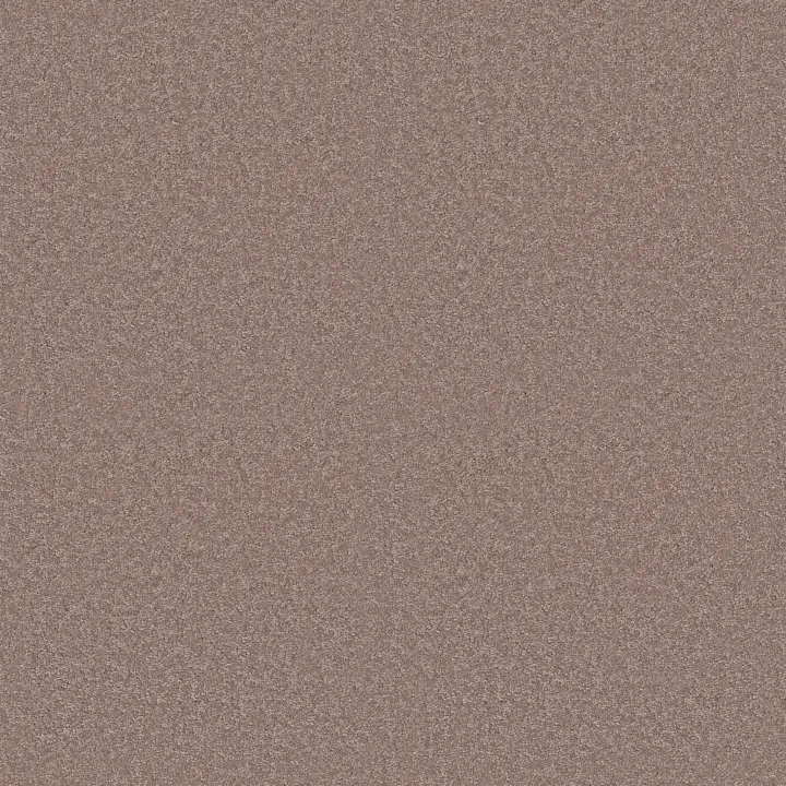 Shaw Floors Dyersburg Classic 15' — Taupe Mist · E0948-55792 — flooring selection with LeviArs Design & Remodeling