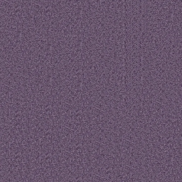Shaw Floors Dyersburg Classic 15' — Violet Crush · E0948-00930 — flooring selection with LeviArs Design & Remodeling