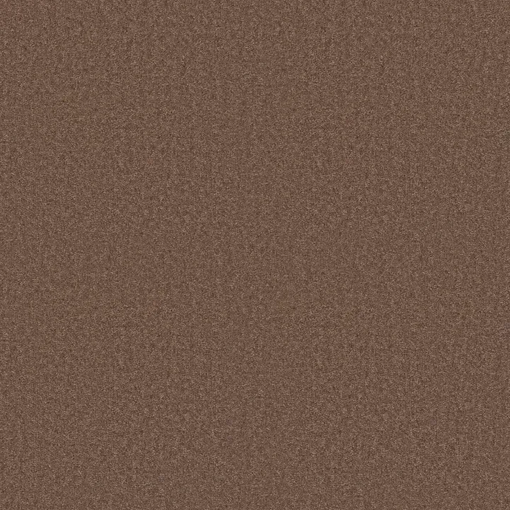Shaw Floors Dyersburg Classic 15' — Winter Wheat · E0948-55791 — flooring selection with LeviArs Design & Remodeling