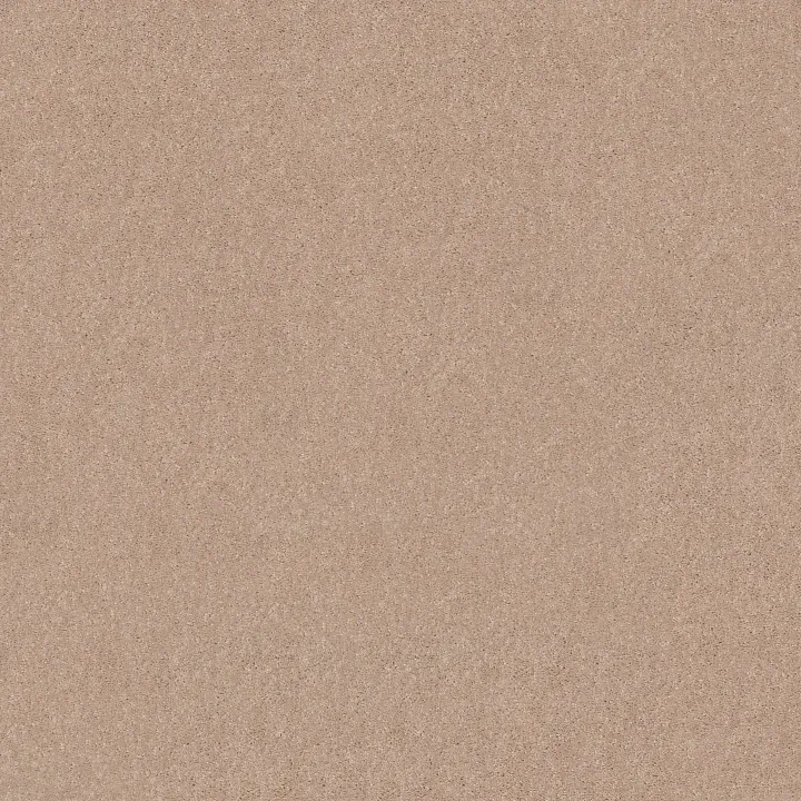Shaw Floors Essay II 12' — Sheer Ecru · 52N67-00153 — flooring selection with LeviArs Design & Remodeling
