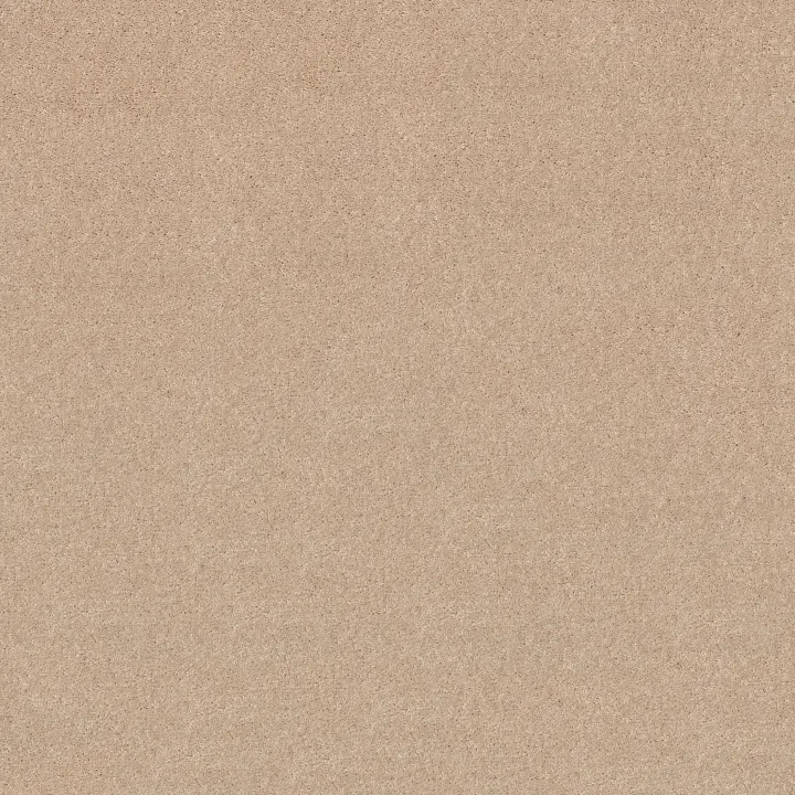 Shaw Floors Dyersburg II 12' — Marble · 53755-55150 — flooring selection with LeviArs Design & Remodeling