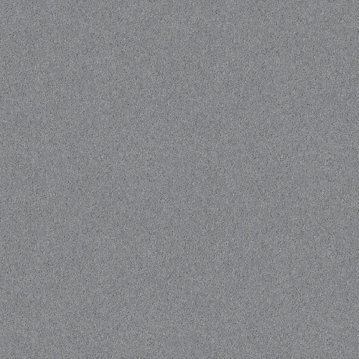 Shaw Floors Dyersburg II 12' — Silver Bay · 53755-55500 — flooring selection with LeviArs Design & Remodeling