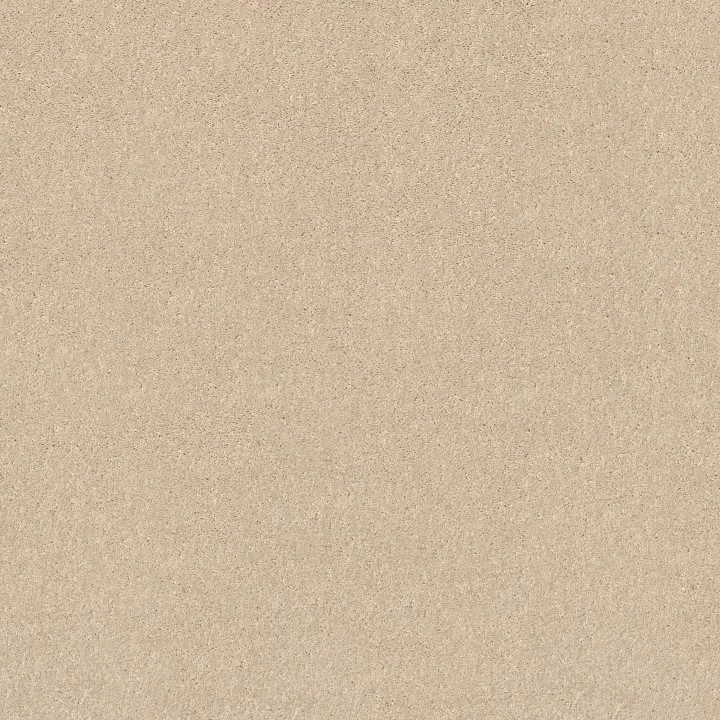 Shaw Floors Dyersburg II 12' — Vanilla Custard · 53755-55151 — flooring selection with LeviArs Design & Remodeling
