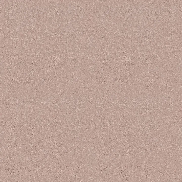Shaw Floors Dyersburg II 15' — Cashmere · 53856-55103 — flooring selection with LeviArs Design & Remodeling