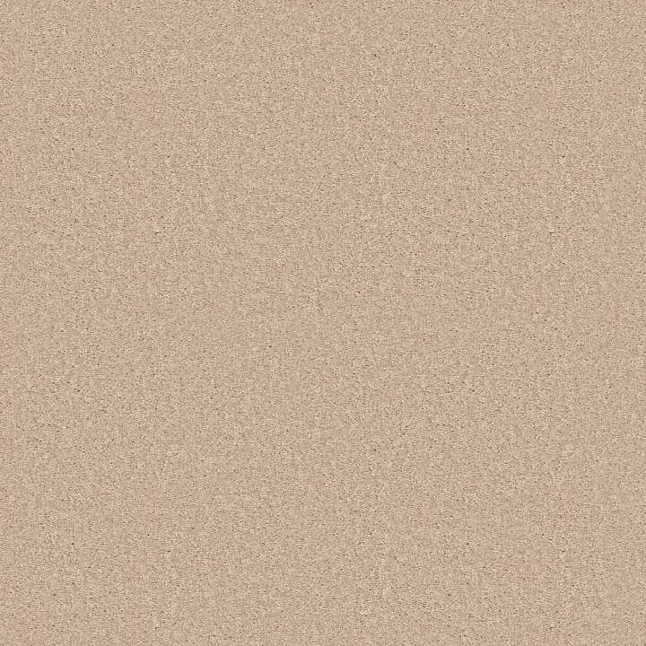 Shaw Floors Dyersburg II 15' — Marble · 53856-55150 — flooring selection with LeviArs Design & Remodeling