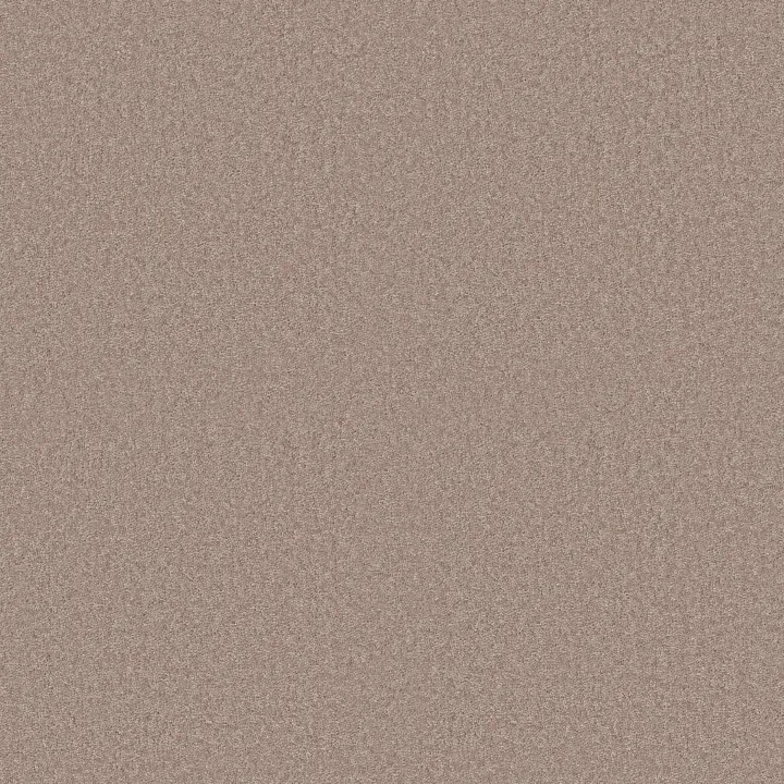 Shaw Floors Dyersburg II 15' — Plaster · 53856-55752 — flooring selection with LeviArs Design & Remodeling