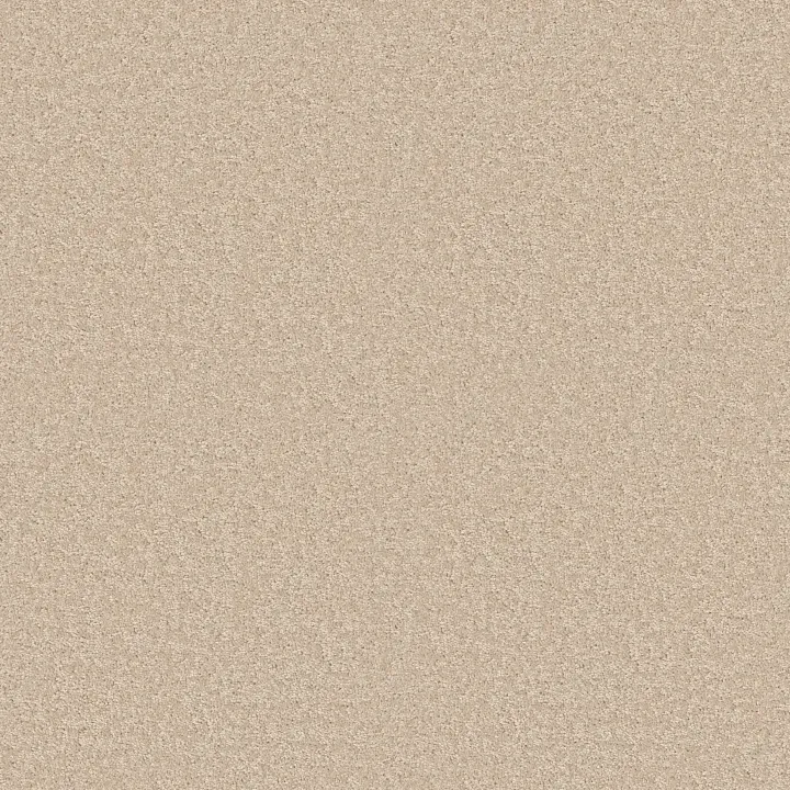 Shaw Floors Dyersburg II 15' — Vanilla Custard · 53856-55151 — flooring selection with LeviArs Design & Remodeling