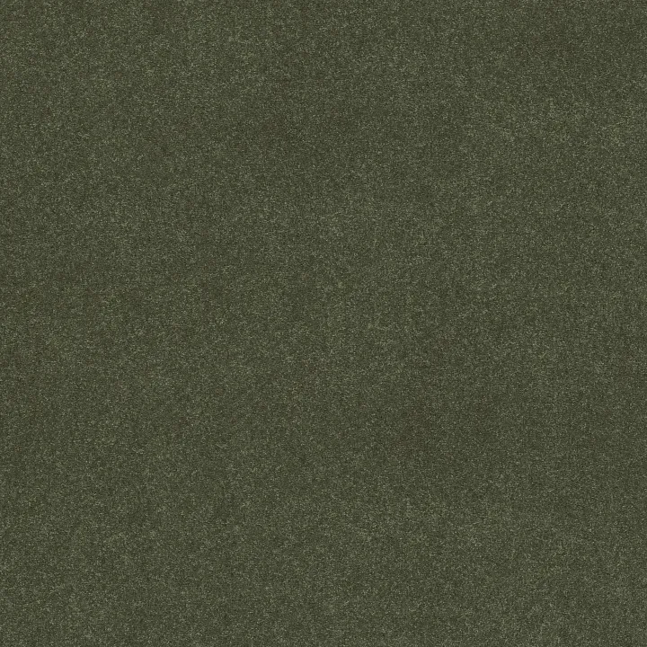 Shaw Floors Easy Spirit III 12' — Garden View · 5E866-00310 — flooring selection with LeviArs Design & Remodeling