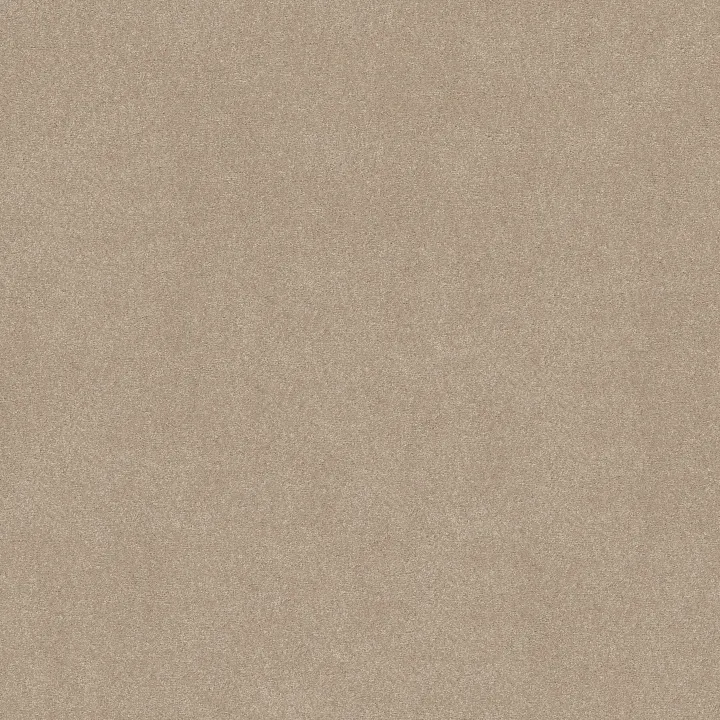 Shaw Floors Easy Spirit I 12' — Shaker Beige · 5E864-00112 — flooring selection with LeviArs Design & Remodeling