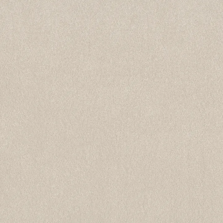 Shaw Floors Easy Spirit III 12' — Soft Light · 5E866-00110 — flooring selection with LeviArs Design & Remodeling