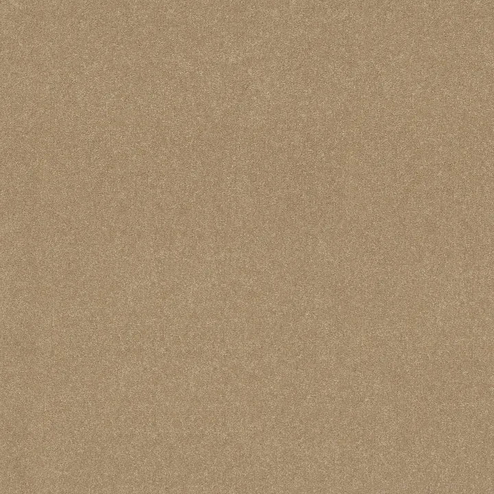 Shaw Floors Easy Spirit III 12' — Tuscan Sun · 5E866-00210 — flooring selection with LeviArs Design & Remodeling
