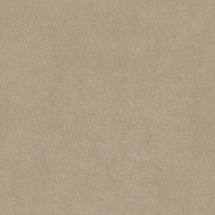 Shaw Floors Easy Spirit III 12' — Shaker Beige · 5E866-00112 — flooring selection with LeviArs Design & Remodeling