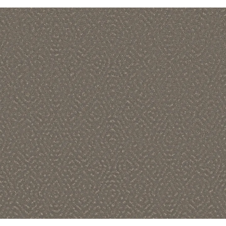 Shaw Floors Elaborate Artifact — Ashes · 5E696-00501 — flooring selection with LeviArs Design & Remodeling