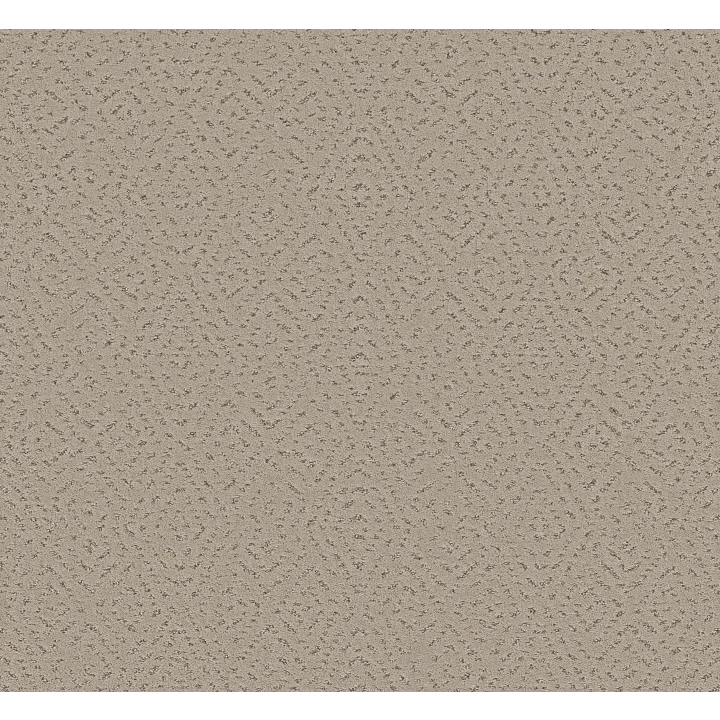 Shaw Floors Elaborate Artifact — Chic Greige · 5E696-00111 — flooring selection with LeviArs Design & Remodeling
