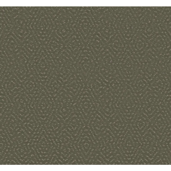 Shaw Floors Elaborate Artifact — Rerooted Nature · 5E696-00300 — flooring selection with LeviArs Design & Remodeling