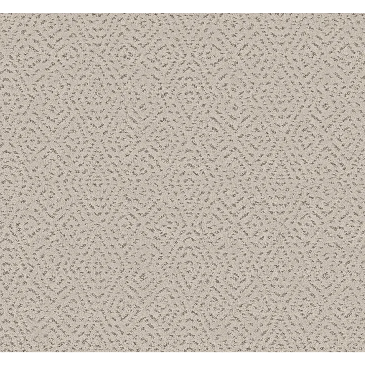 Shaw Floors Elaborate Artifact — Soft Sense · 5E696-00112 — flooring selection with LeviArs Design & Remodeling