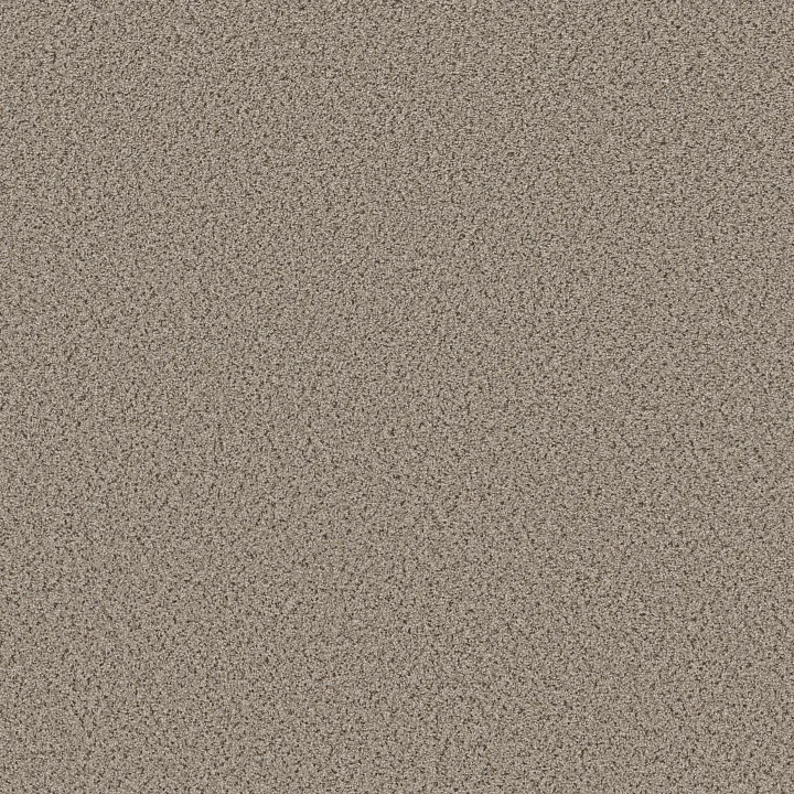 Shaw Floors Abilene I — Acreage · 5E821-00176 — flooring selection with LeviArs Design & Remodeling
