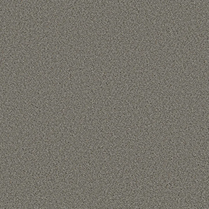Shaw Floors Elemental Mix II — Antique Pin · E9565-00571 — flooring selection with LeviArs Design & Remodeling