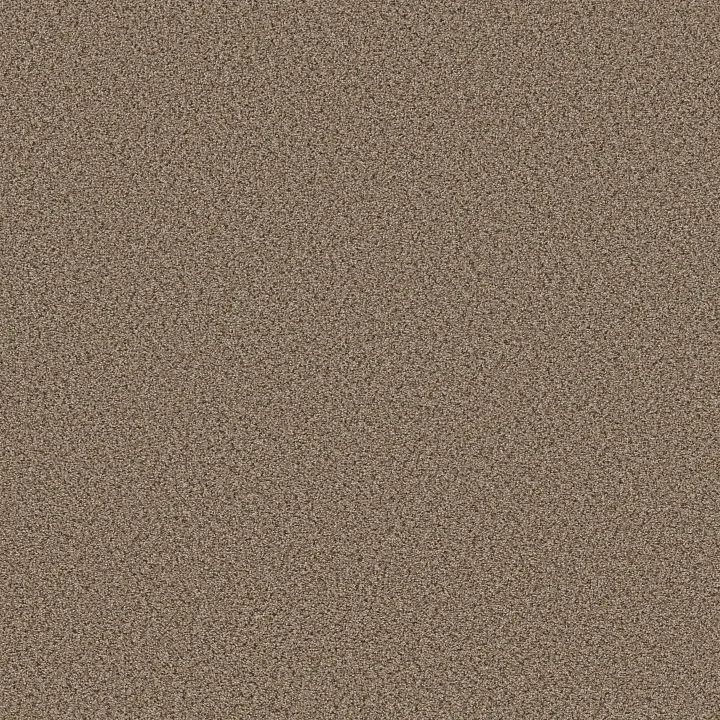 Shaw Floors Abilene I — Arrowhead · 5E821-00770 — flooring selection with LeviArs Design & Remodeling