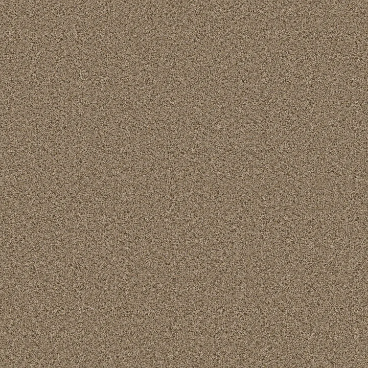Shaw Floors Abilene I — Bridle Leather · 5E821-00270 — flooring selection with LeviArs Design & Remodeling