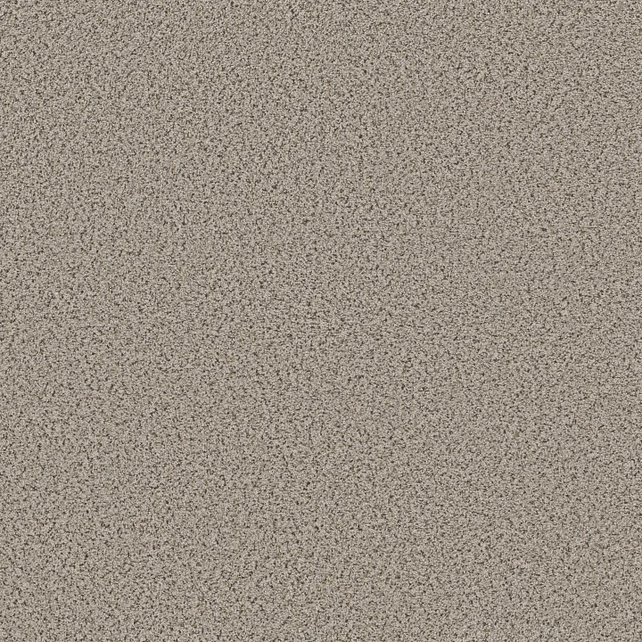 Shaw Floors Abilene I — Gentle Rain · 5E821-00171 — flooring selection with LeviArs Design & Remodeling