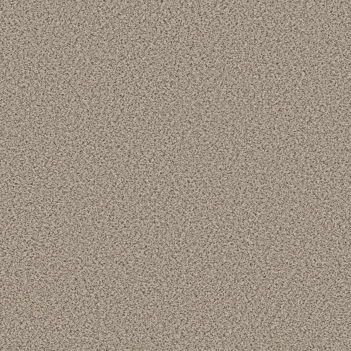 Shaw Floors Abilene I — Horizon · 5E821-00172 — flooring selection with LeviArs Design & Remodeling