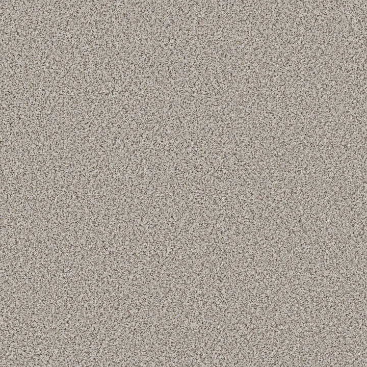 Shaw Floors Abilene I — Pixels · 5E821-00170 — flooring selection with LeviArs Design & Remodeling