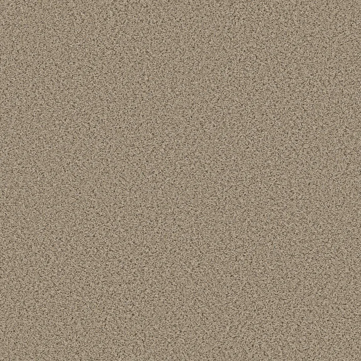 Shaw Floors Abilene I — Sand Castle · 5E821-00174 — flooring selection with LeviArs Design & Remodeling