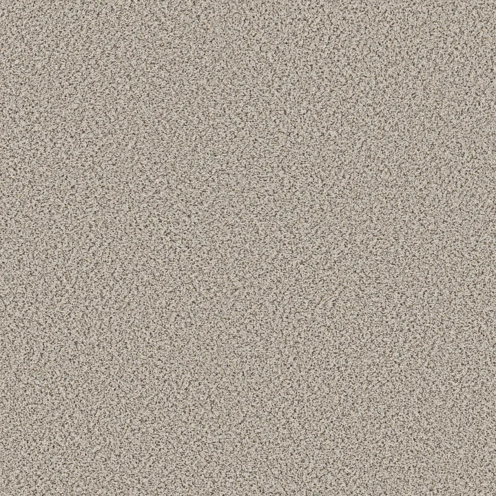 Shaw Floors Abilene I — Swiss Coffee · 5E821-00173 — flooring selection with LeviArs Design & Remodeling