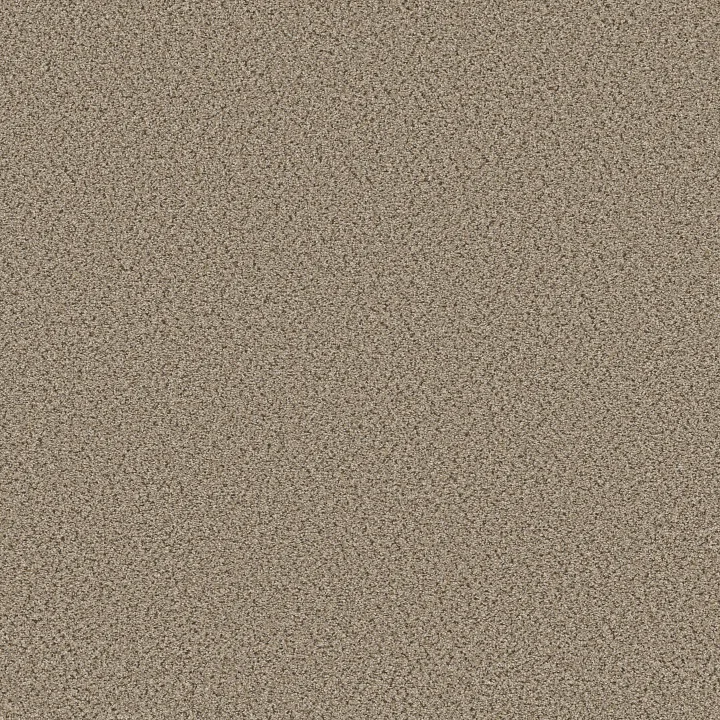 Shaw Floors Abilene I — Twine · 5E821-00175 — flooring selection with LeviArs Design & Remodeling