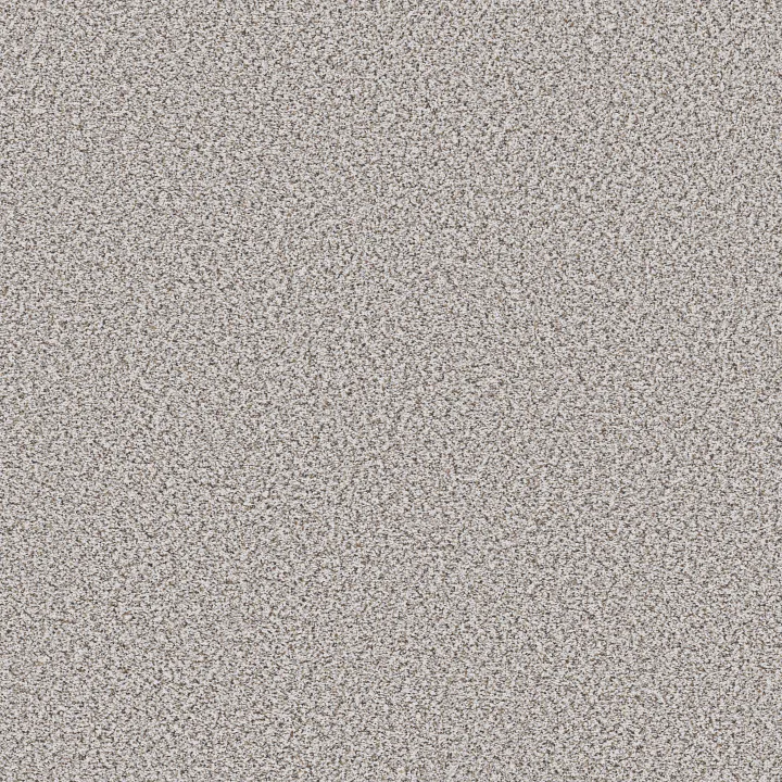 Shaw Floors Abilene I — Whitewash · 5E821-00177 — flooring selection with LeviArs Design & Remodeling