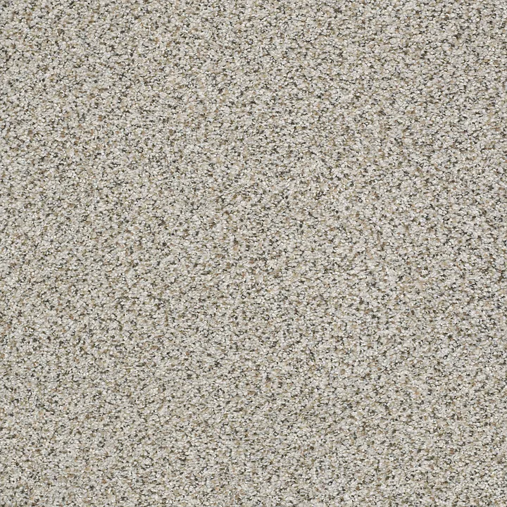 Shaw Floors Elemental Mix II — Silver Lining · E9565-00572 — flooring selection with LeviArs Design & Remodeling