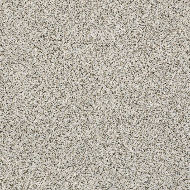 Shaw Floors Elemental Mix II — Snowbound · E9565-00178 — flooring selection with LeviArs Design & Remodeling