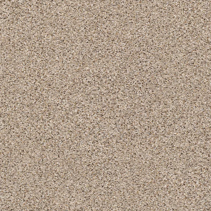 Shaw Floors Elemental Mix III — Acreage · E9566-00176 — flooring selection with LeviArs Design & Remodeling
