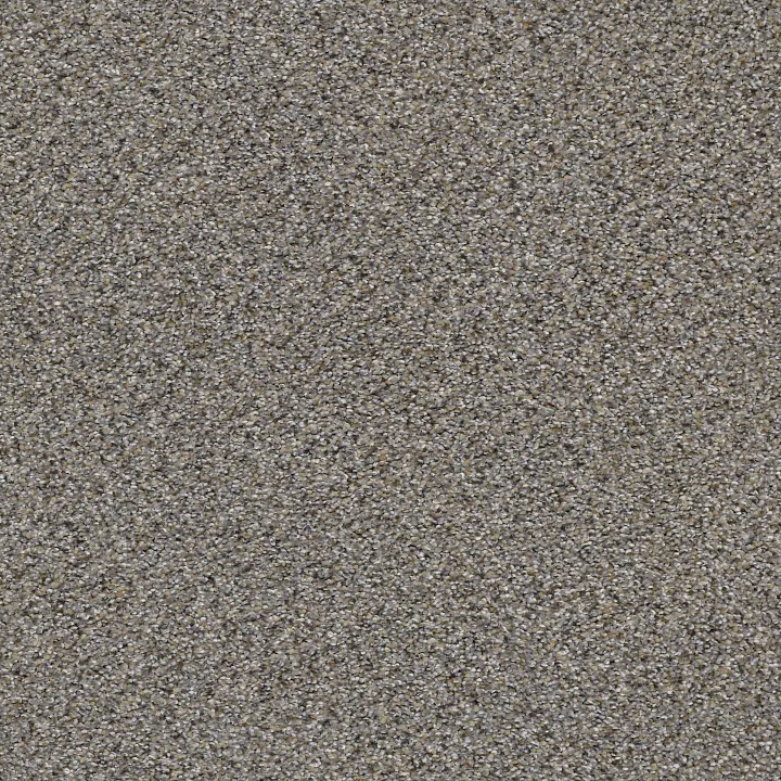 Shaw Floors Elemental Mix III — Antique Pin · E9566-00571 — flooring selection with LeviArs Design & Remodeling