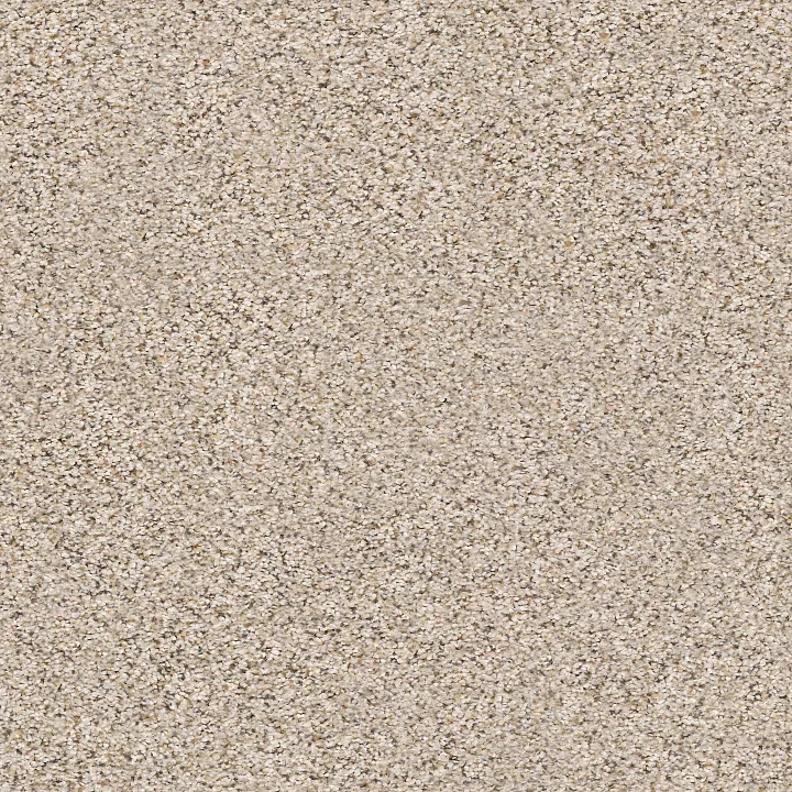 Shaw Floors Elemental Mix III — Gentle Rain · E9566-00171 — flooring selection with LeviArs Design & Remodeling