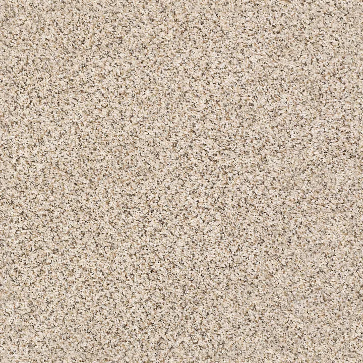 Shaw Floors Elemental Mix III — Horizon · E9566-00172 — flooring selection with LeviArs Design & Remodeling
