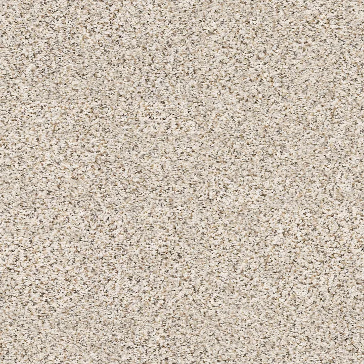 Shaw Floors Elemental Mix III — Pixels · E9566-00170 — flooring selection with LeviArs Design & Remodeling