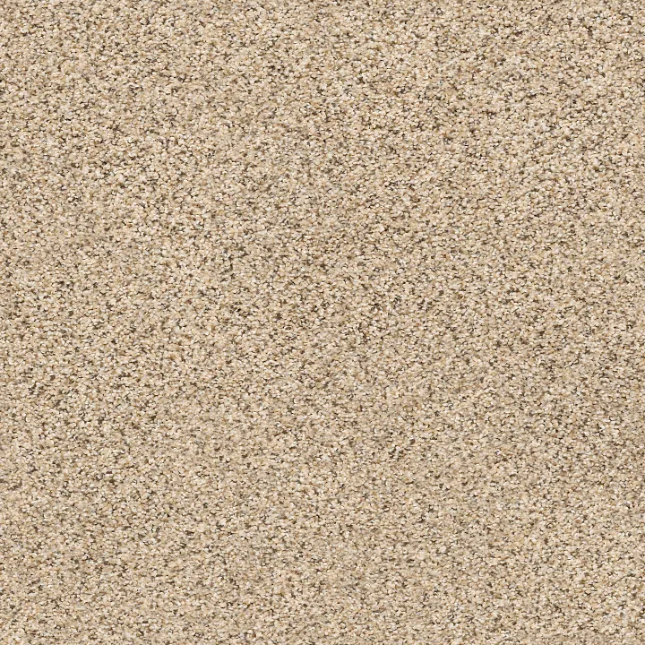 Shaw Floors Elemental Mix III — Sand Castle · E9566-00174 — flooring selection with LeviArs Design & Remodeling