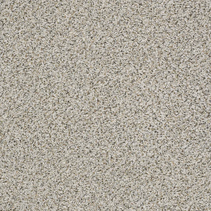 Shaw Floors Elemental Mix III — Silver Lining · E9566-00572 — flooring selection with LeviArs Design & Remodeling