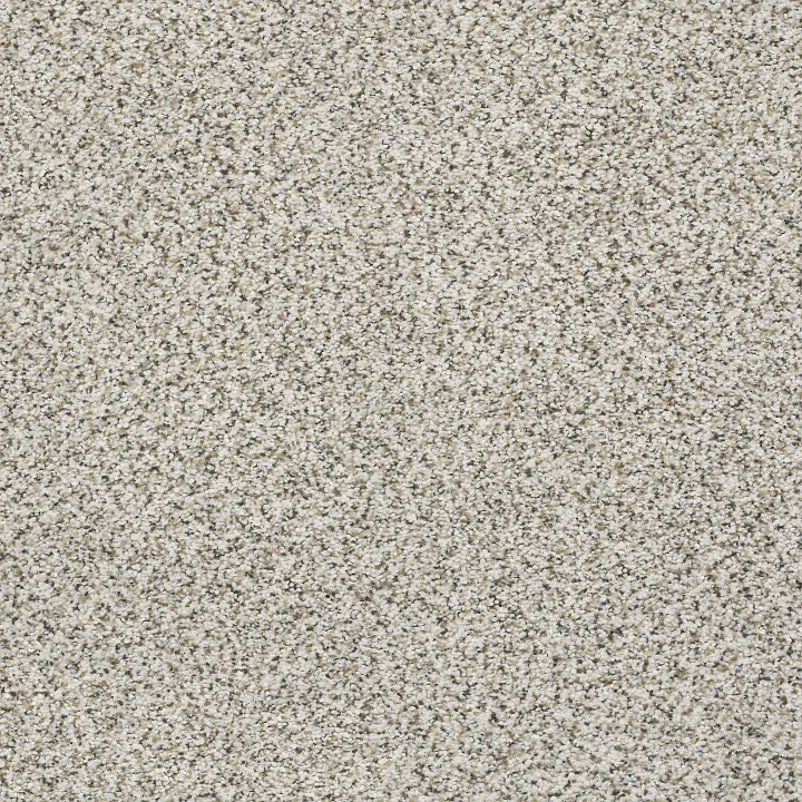 Shaw Floors Elemental Mix III — Snowbound · E9566-00178 — flooring selection with LeviArs Design & Remodeling