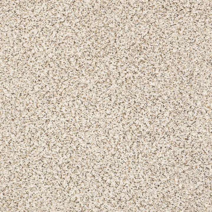 Shaw Floors Elemental Mix III — Swiss Coffee · E9566-00173 — flooring selection with LeviArs Design & Remodeling