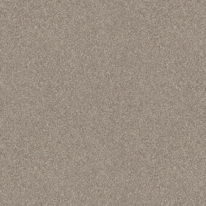 Shaw Floors Elevated III — Mushroom · 5E863-00108 — flooring selection with LeviArs Design & Remodeling
