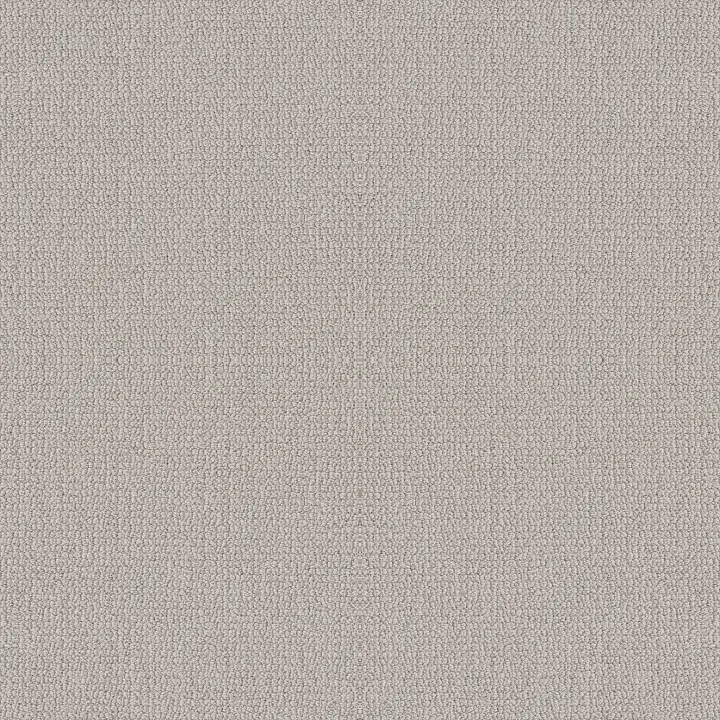 Shaw Floors Embellished — Aircraft · 5E458-00111 — flooring selection with LeviArs Design & Remodeling