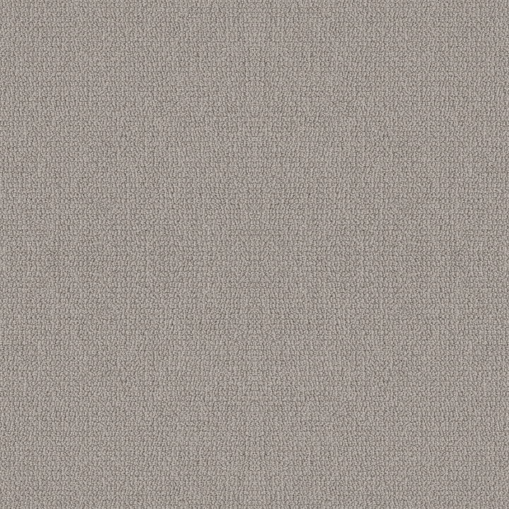 Shaw Floors Embellished — Ashen · 5E458-00114 — flooring selection with LeviArs Design & Remodeling