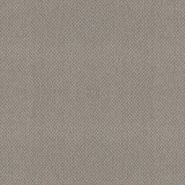 Shaw Floors Embellished — Asteroid · 5E458-00515 — flooring selection with LeviArs Design & Remodeling