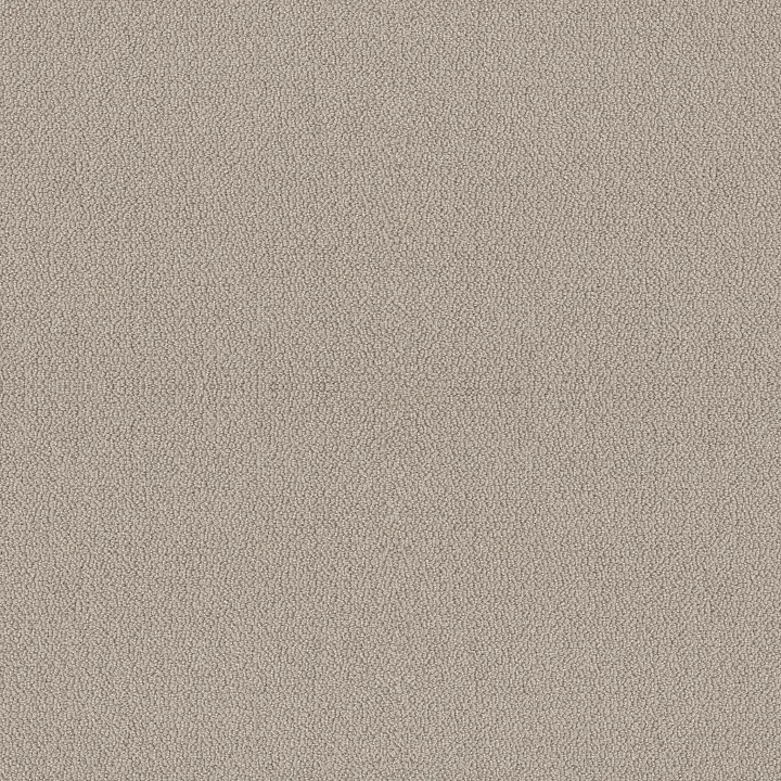 Shaw Floors Embellished — Birch · 5E458-00118 — flooring selection with LeviArs Design & Remodeling