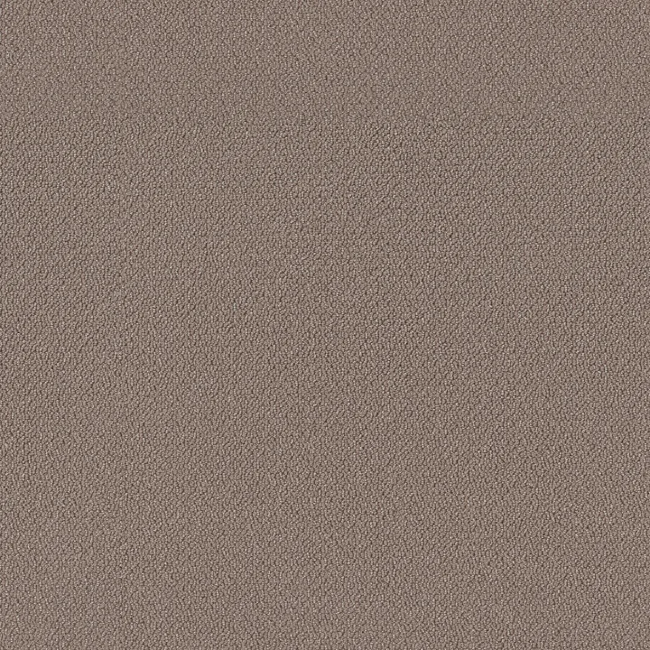 Shaw Floors Embellished — Chestnut · 5E458-00711 — flooring selection with LeviArs Design & Remodeling