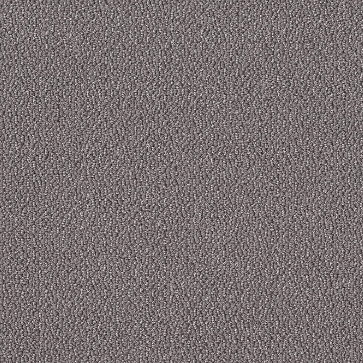 Shaw Floors Embellished — Dolphin · 5E458-00516 — flooring selection with LeviArs Design & Remodeling