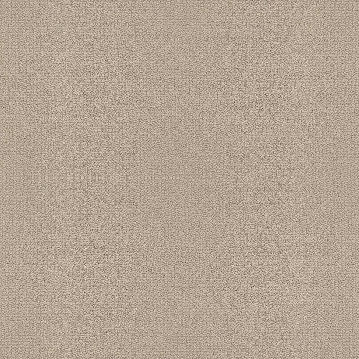 Shaw Floors Embellished — Malibu Dune · 5E458-00117 — flooring selection with LeviArs Design & Remodeling